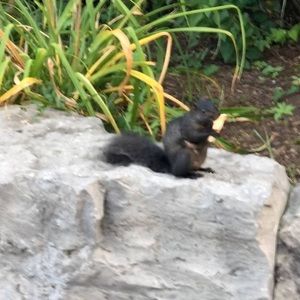 Meet your Posher, Swen